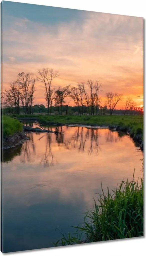 Vászonkép 80x120 Folyó rét