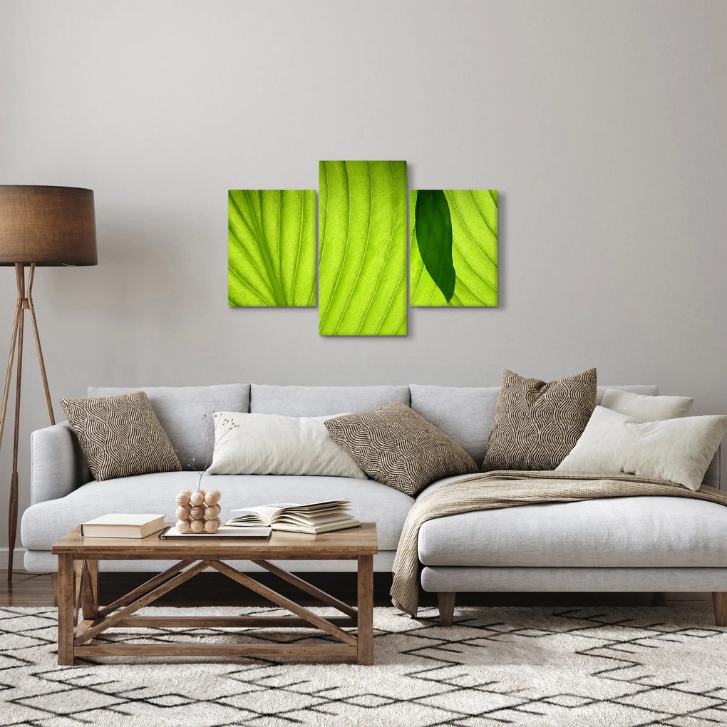 Kép - Zöld levél részlete (90x60 cm)