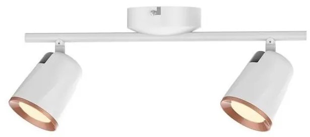 Rabalux Rabalux 5046 - LED Spotlámpa SOLANGE 2xLED/6W/230V RL5046