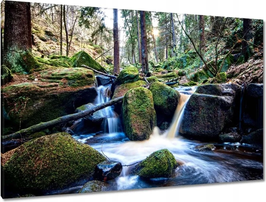 Festmények 120x80 Hegyi patak Tájkép