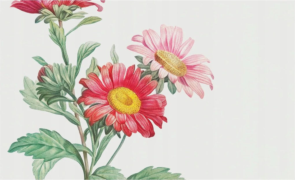 Fali fotótapéta Étkezőbe Finom virágok 416x254 Ragasztó