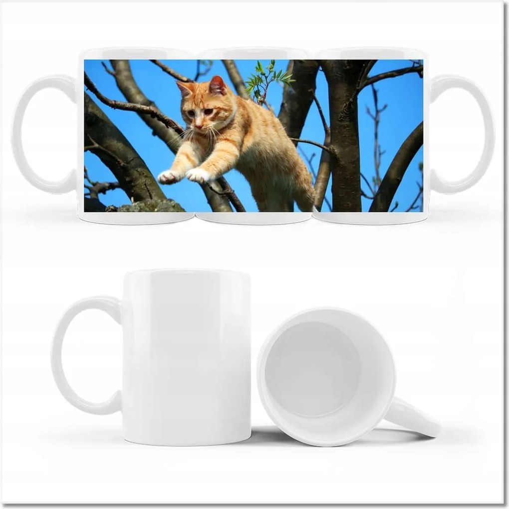 Cica fényképes bögre Cica