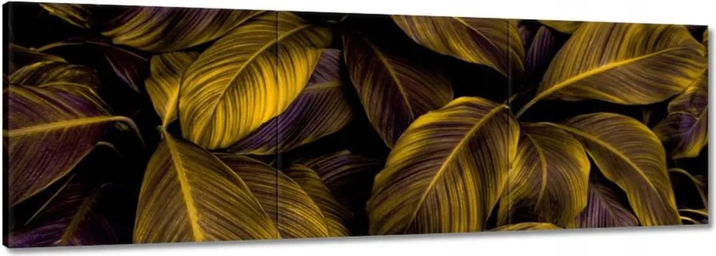Vászonkép 120x40 Gyönyörű mézszínű levelek