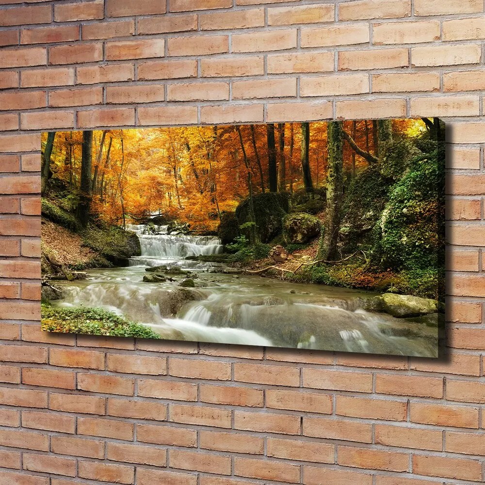 Vászon nyomtatás Vízesés az erdőben pl-oc-120x60-f-64421594