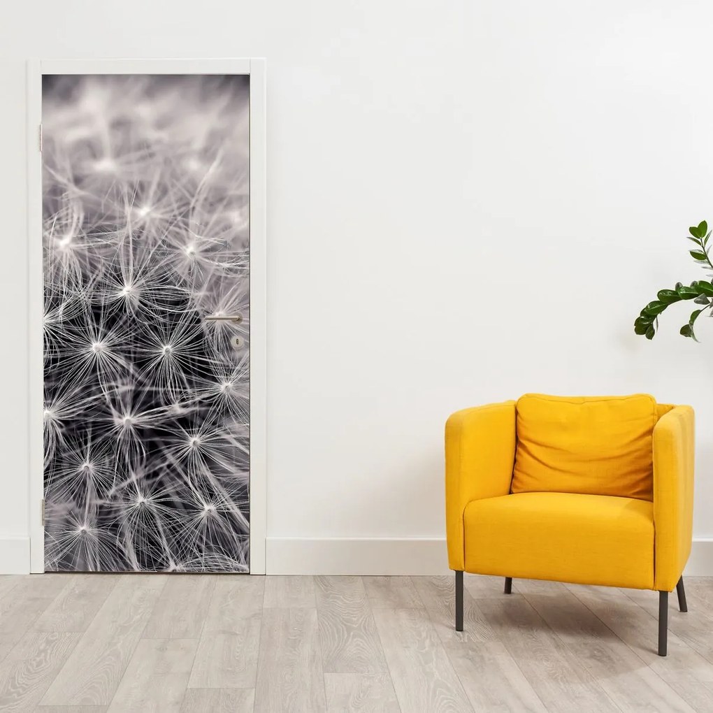 Fotótapéta ajtóra - Pitypang (95x205cm)