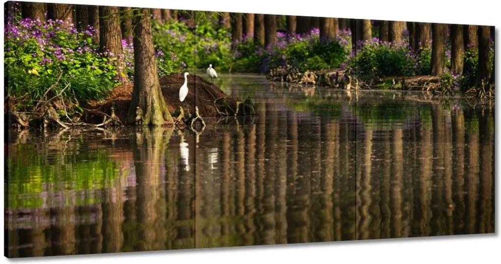 Festmények 180x90 Tájkép Látvány