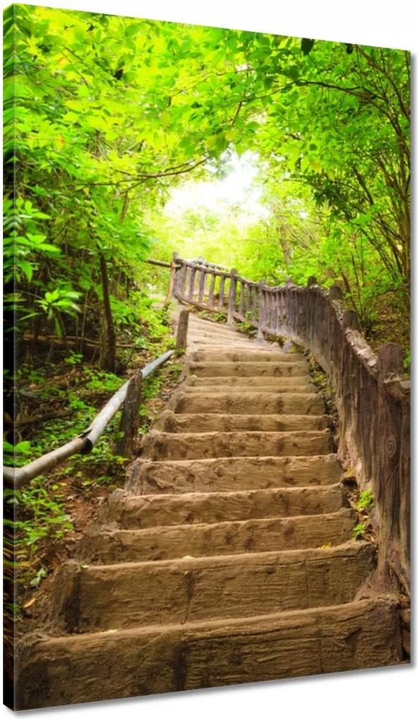 Vászonkép 40x60 Lépcsők az erdőbe