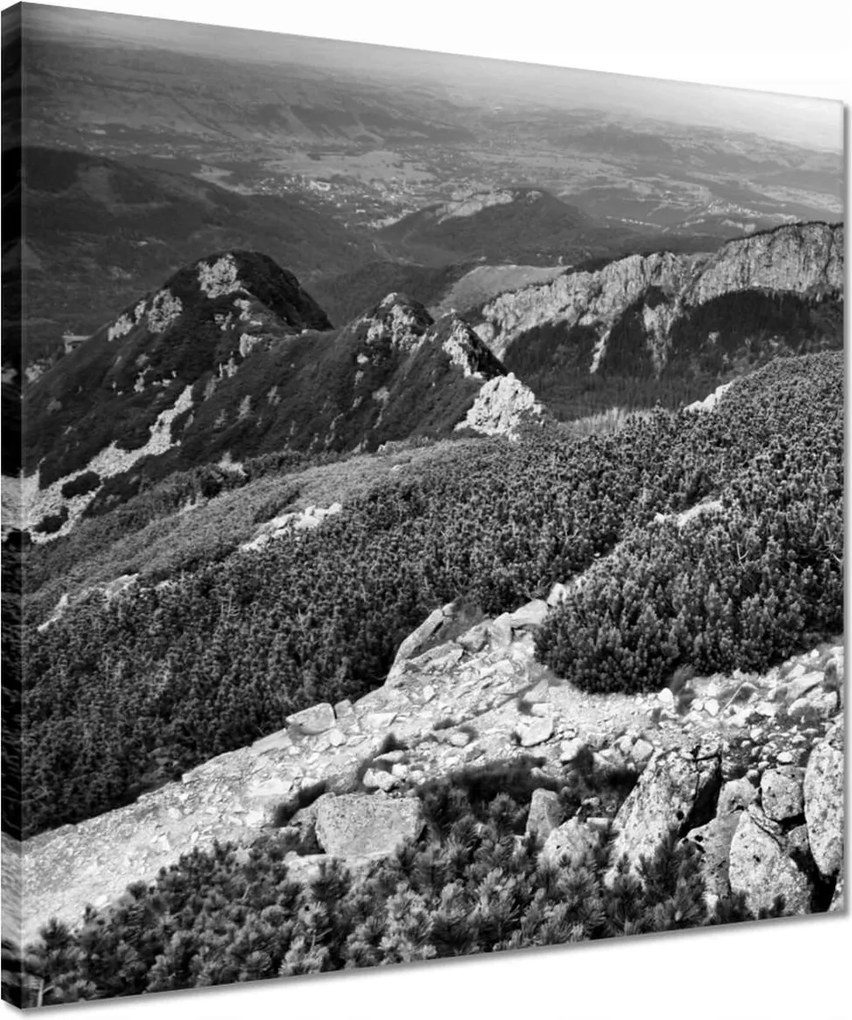 Vászonkép 40x40 Tátra Lengyel hegyek Kilátás