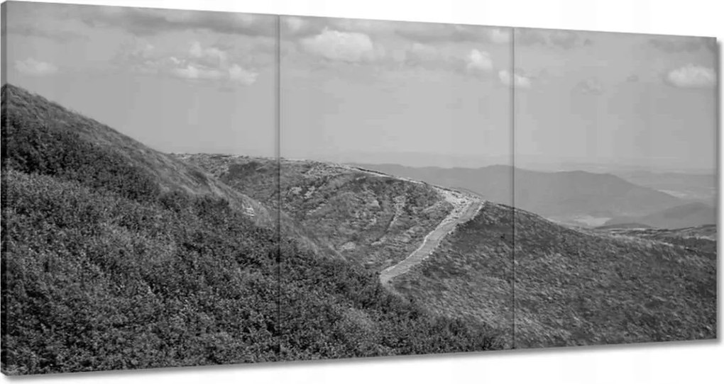 Festmények 120x60 Bieszczady-hegység