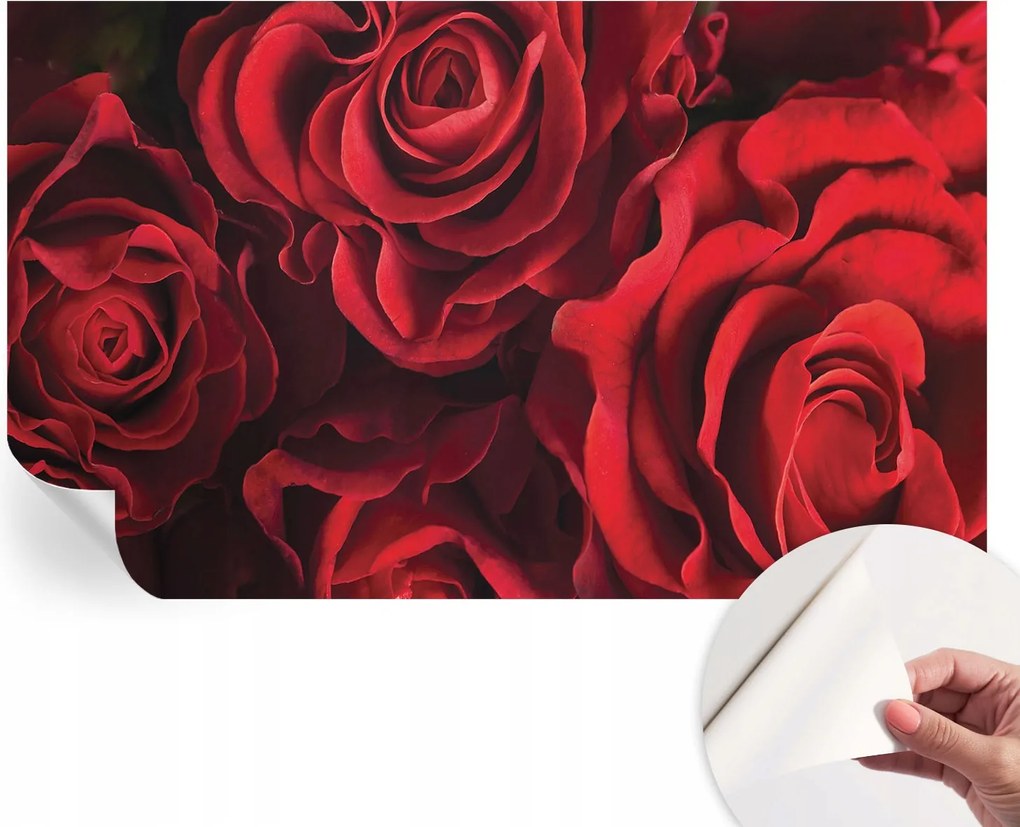 Dekoratív öntapadós fotótapéta Hálószobába Vörös rózsák 416x254 cm