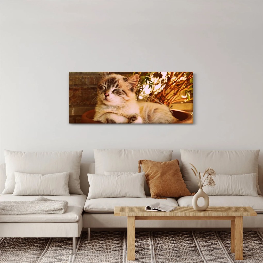 Macska a virágcserépben képe (120x50 cm)