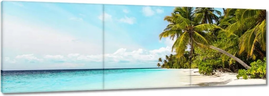 Vászonkép 150x50 Trópusok Tájkép Pálmafák