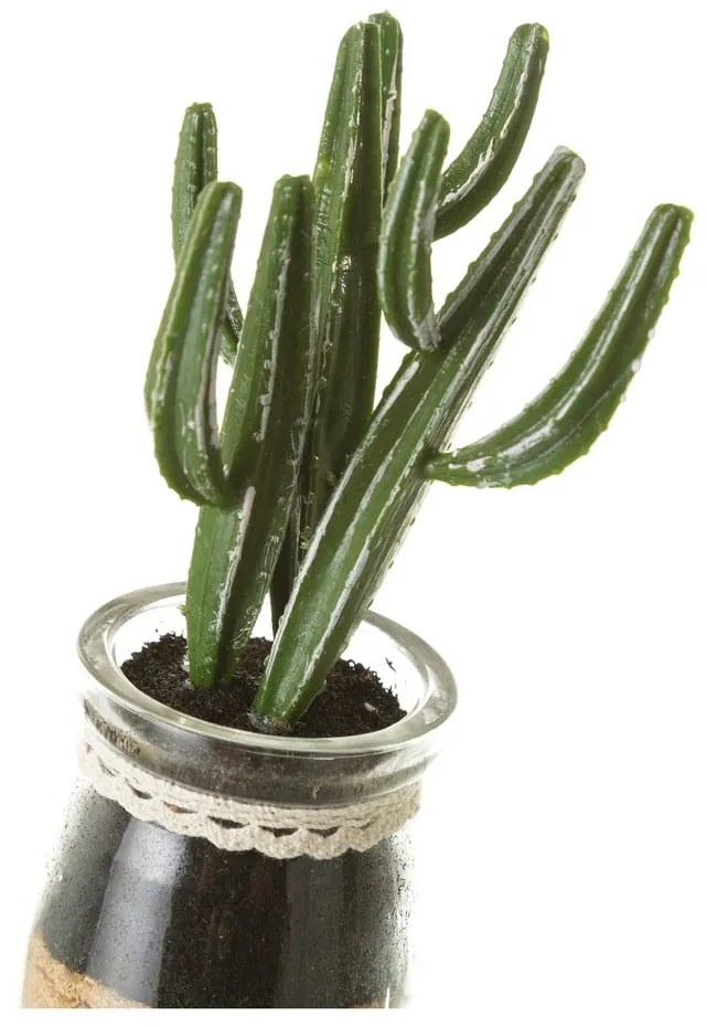 Műnövény szett 4 db-os (magasság 18 cm) Cactus – Casa Selección