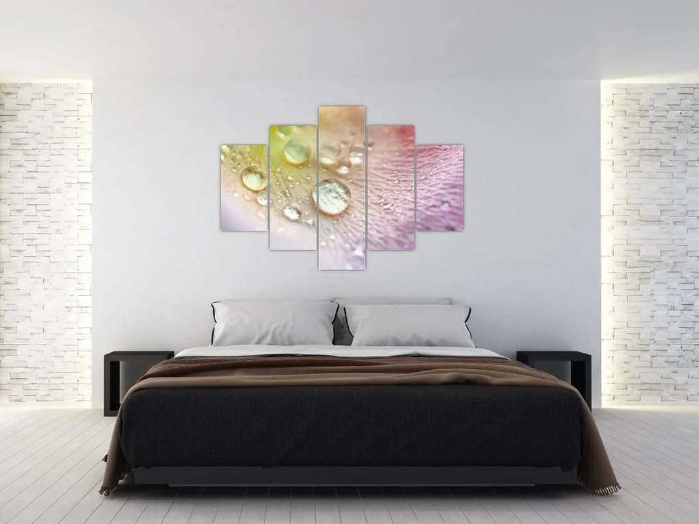 Kép - Harmatcseppek (150x105 cm)