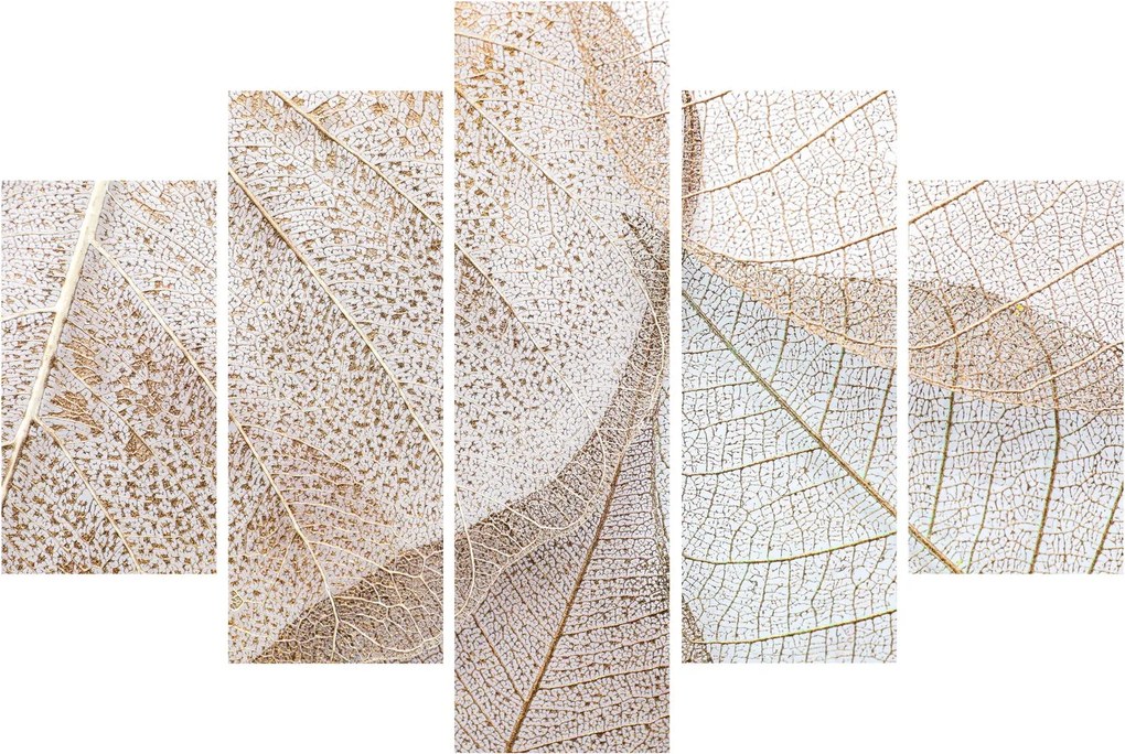Kép - Bézs levelek (150x105 cm)