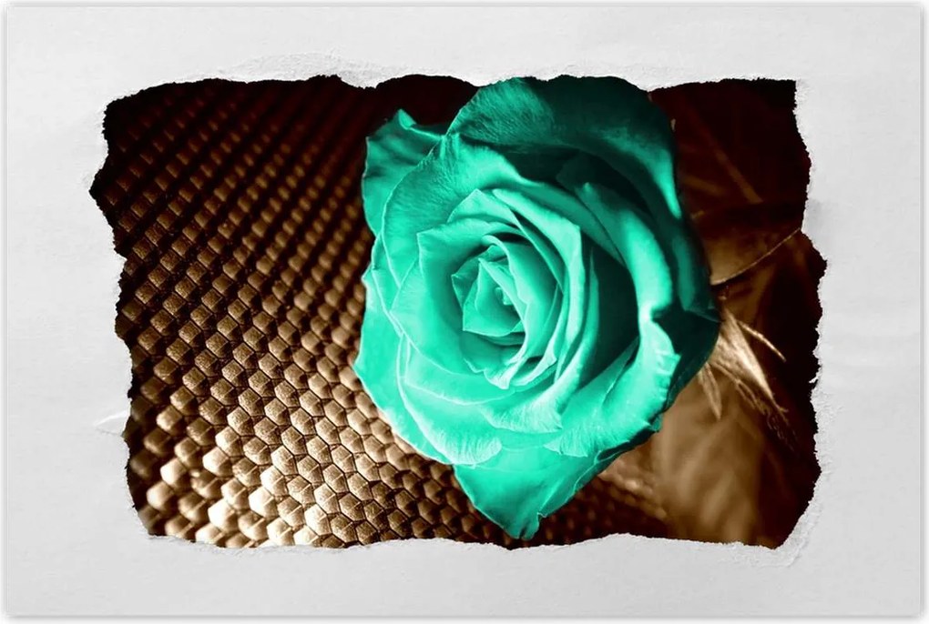 Poszterek 60x40 Türkiz rózsa szépia