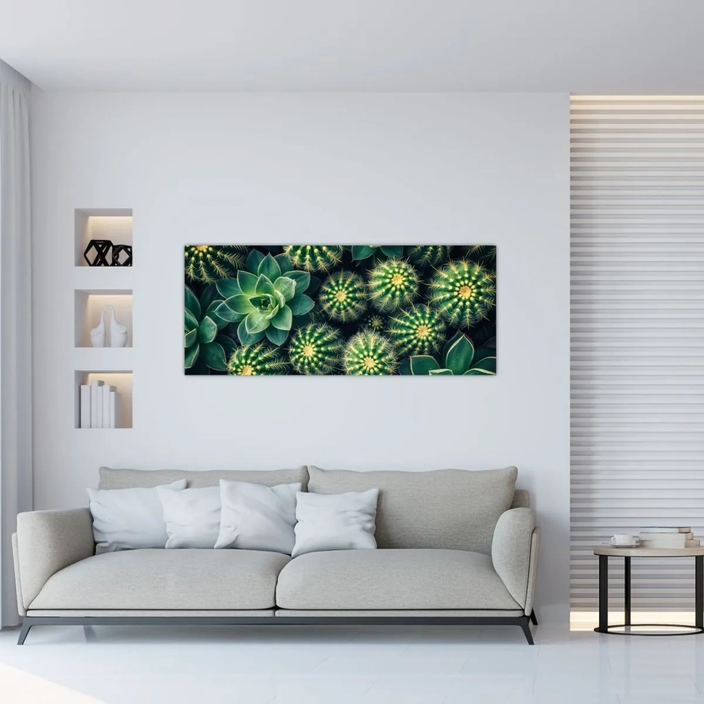 Kép - Kaktuszok (120x50 cm)