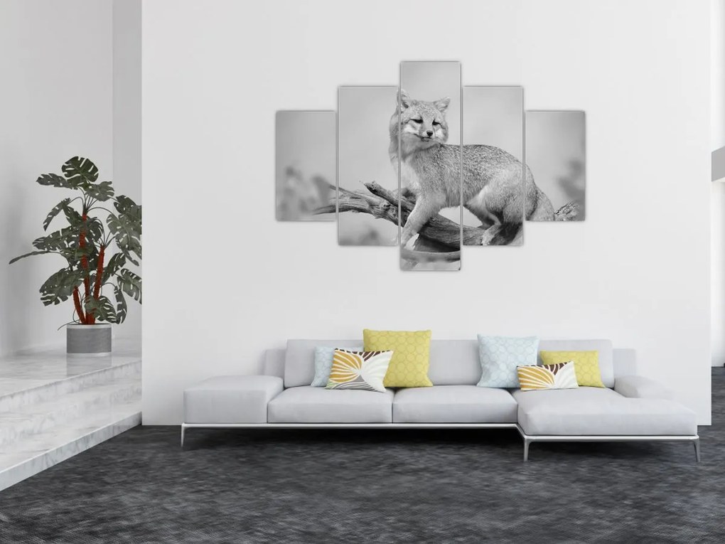Kép - Szürke róka (150x105 cm)