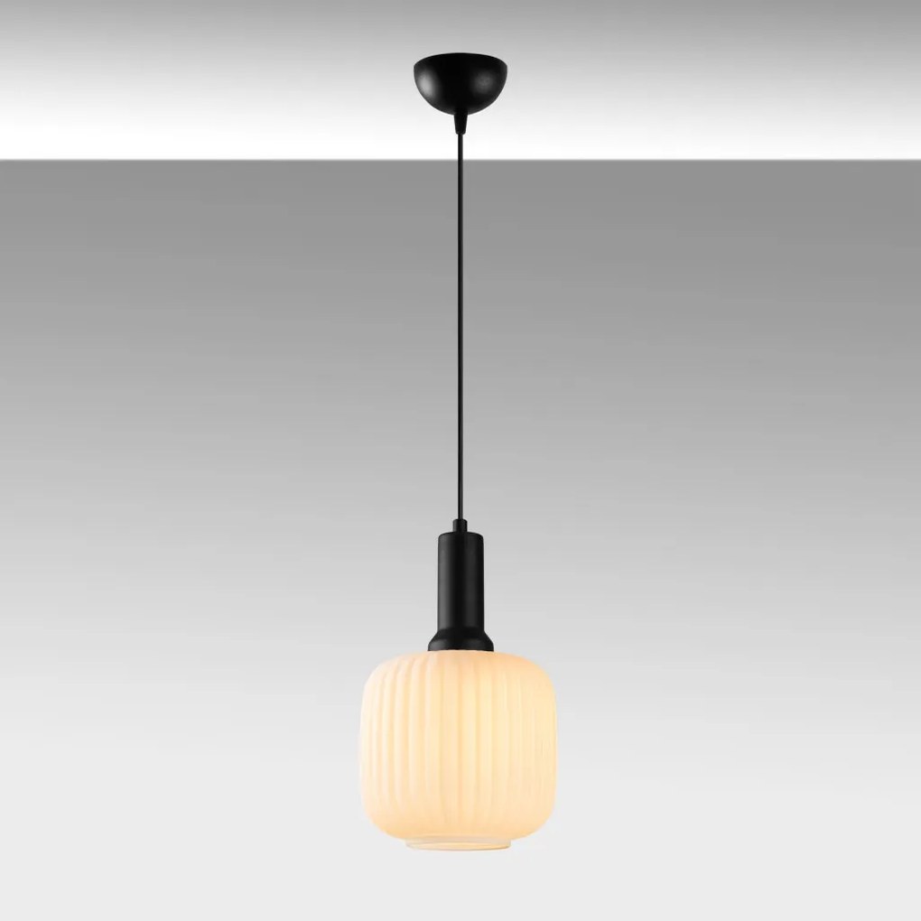 Asker 15187 fekete fém-üveg függőlámpa, Ø20 cm