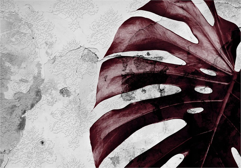 Fotótapéta Monstera bordó textúra 300x210 elegáns levél motívum +ragasztó