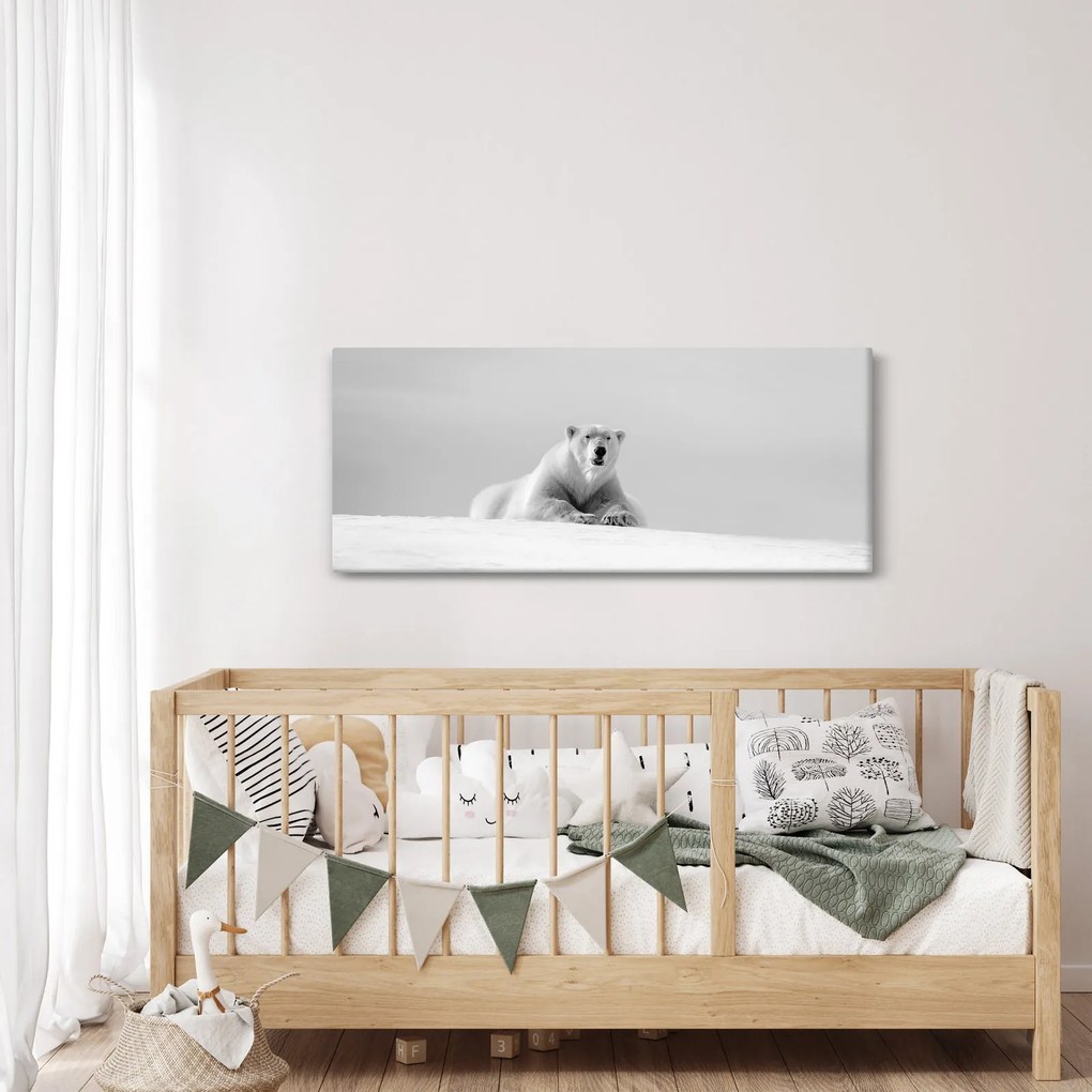 Kép - Jegesmedve, fekete-fehér (120x50 cm)