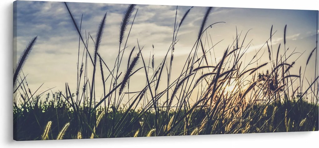 Réti virágok képe (120x50 cm)