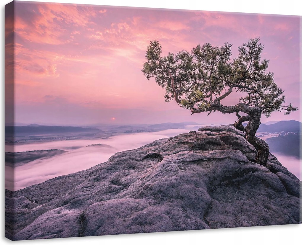 Vászonkép 70x50 Magányos fa sziklás táj ködös völgy nyugalom természet