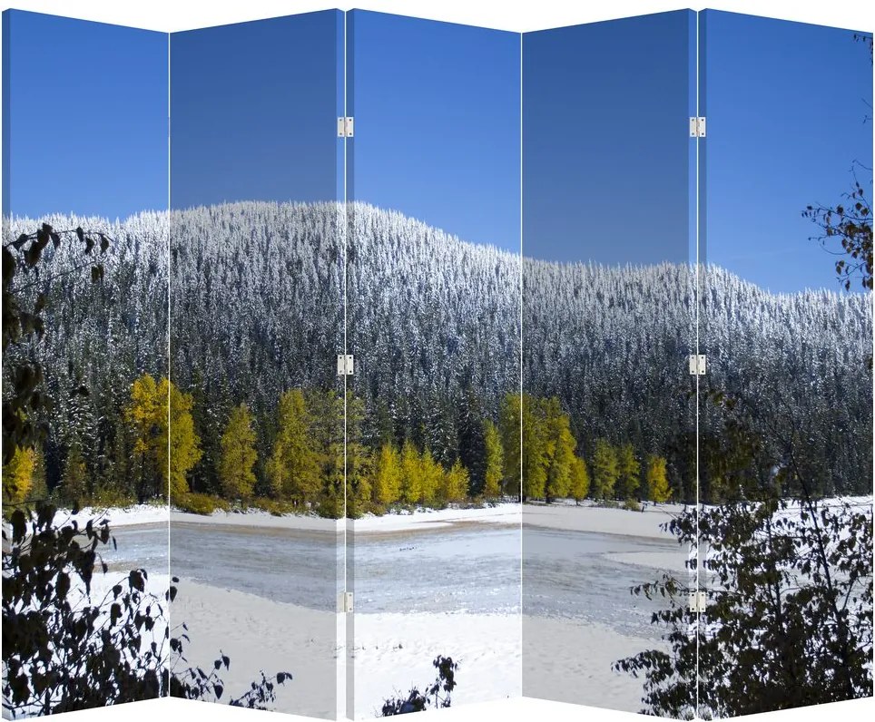 Paraván - Havas hegyek télen (210x170 cm)
