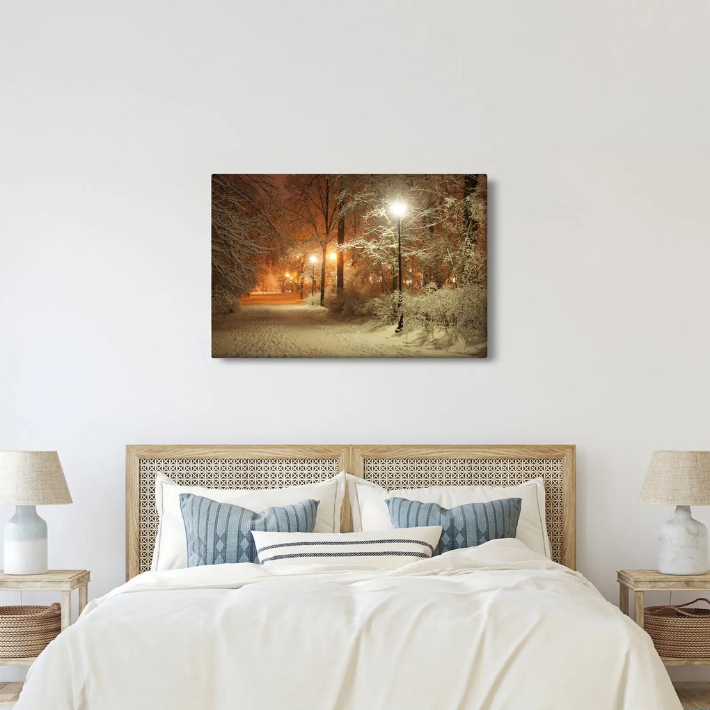 Kép - havas park (90x60 cm)