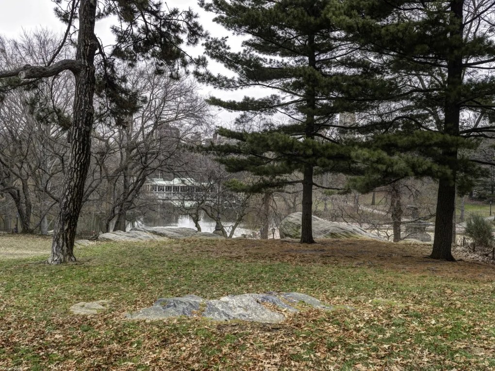 Poszter 40x30cm Central Park, New York, Assaf Frank