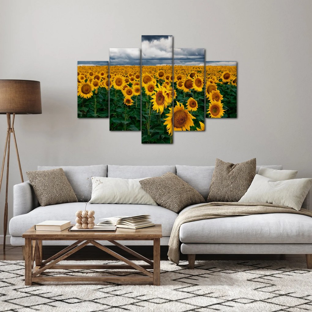 Napraforgó mező képe (150x105 cm)