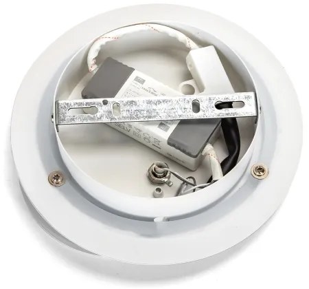 Aigostar - LED fali lámpa LED/16W/230V 6500K fehér