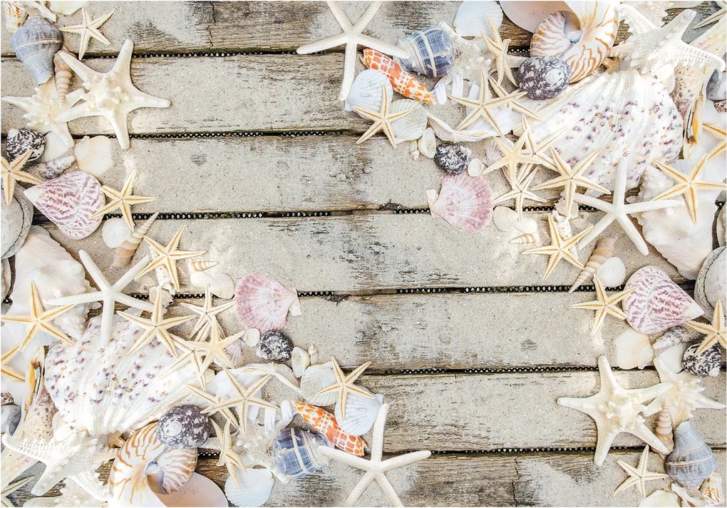 Fotótapéta Kagylók a fán homok természetes tengeri színek 254x184 +ragasztó