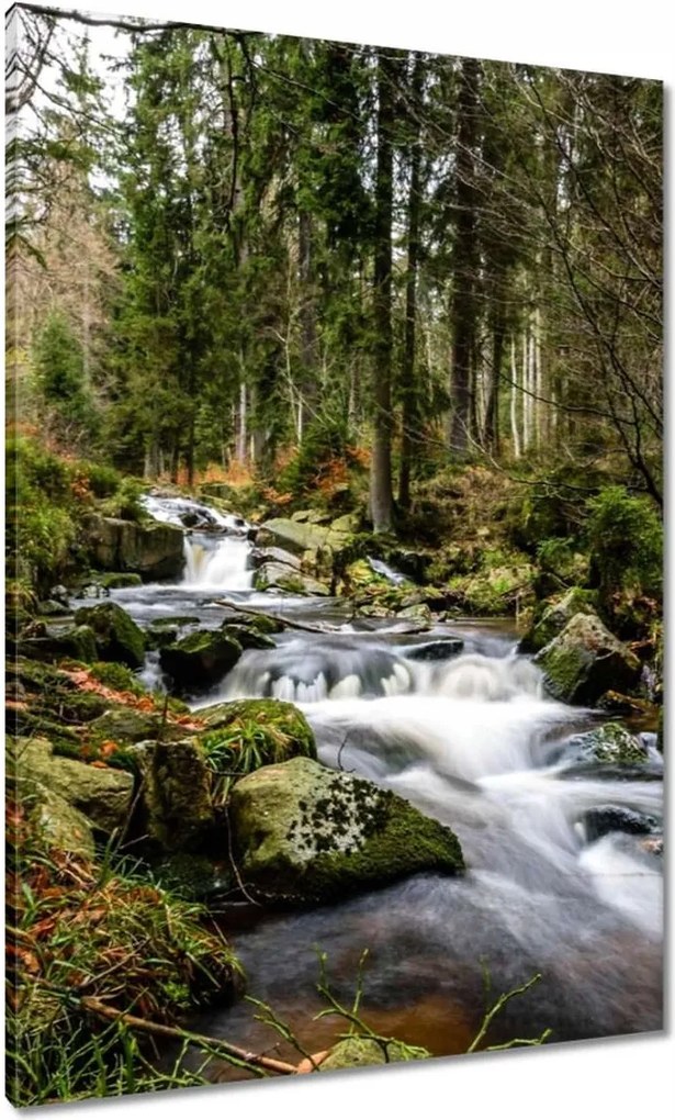 Festmények 70x100 Tájkép