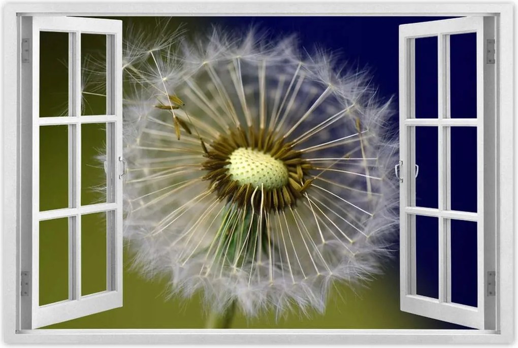 Poszterek 120x80 Pitypang Virág Virágok