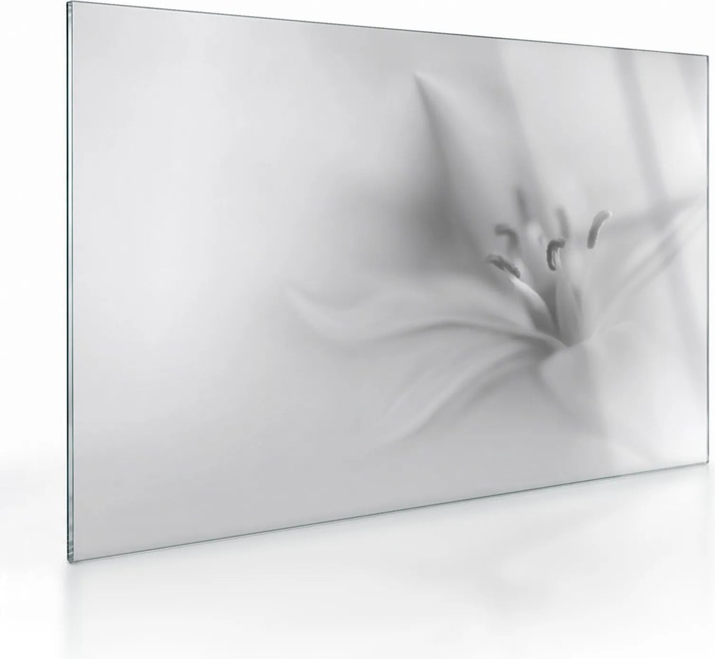 Üveg kép - Delicate Lily (70x50 cm)