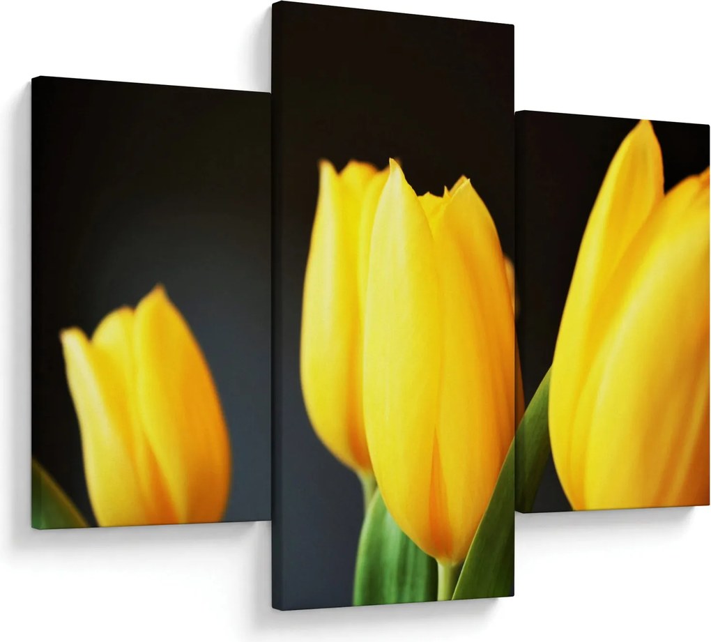 Tulipán képe (90x60 cm)