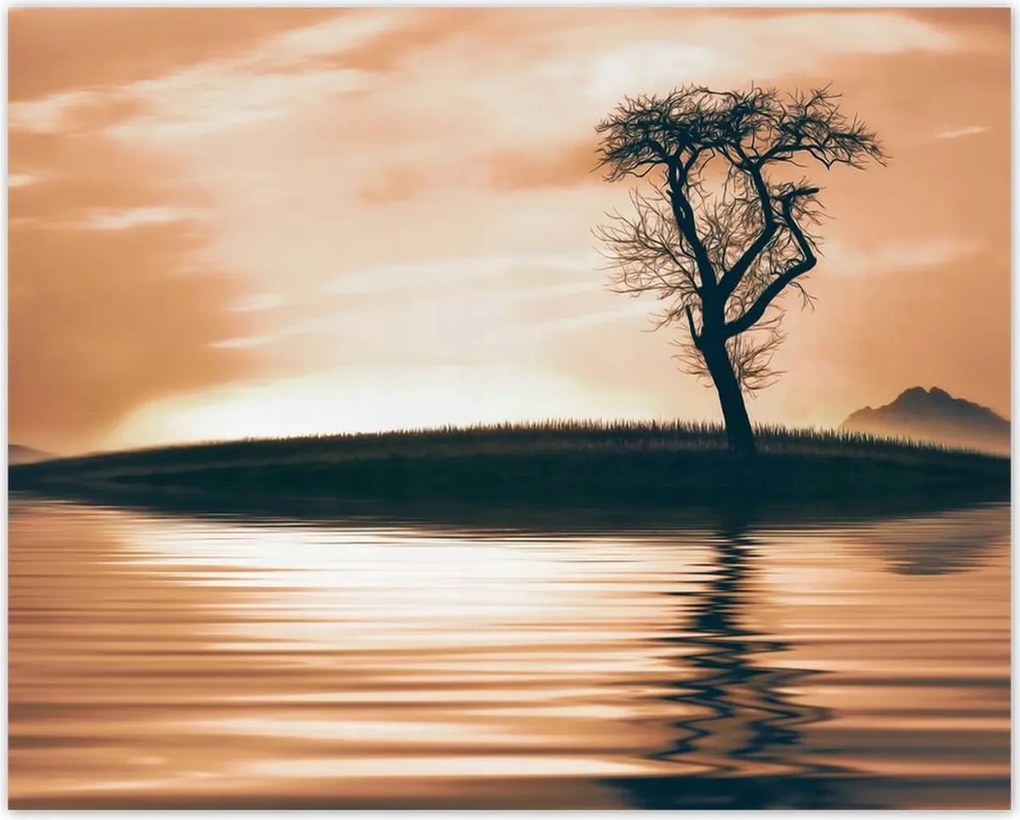 Poszterek 50x40 Fa a szigeten