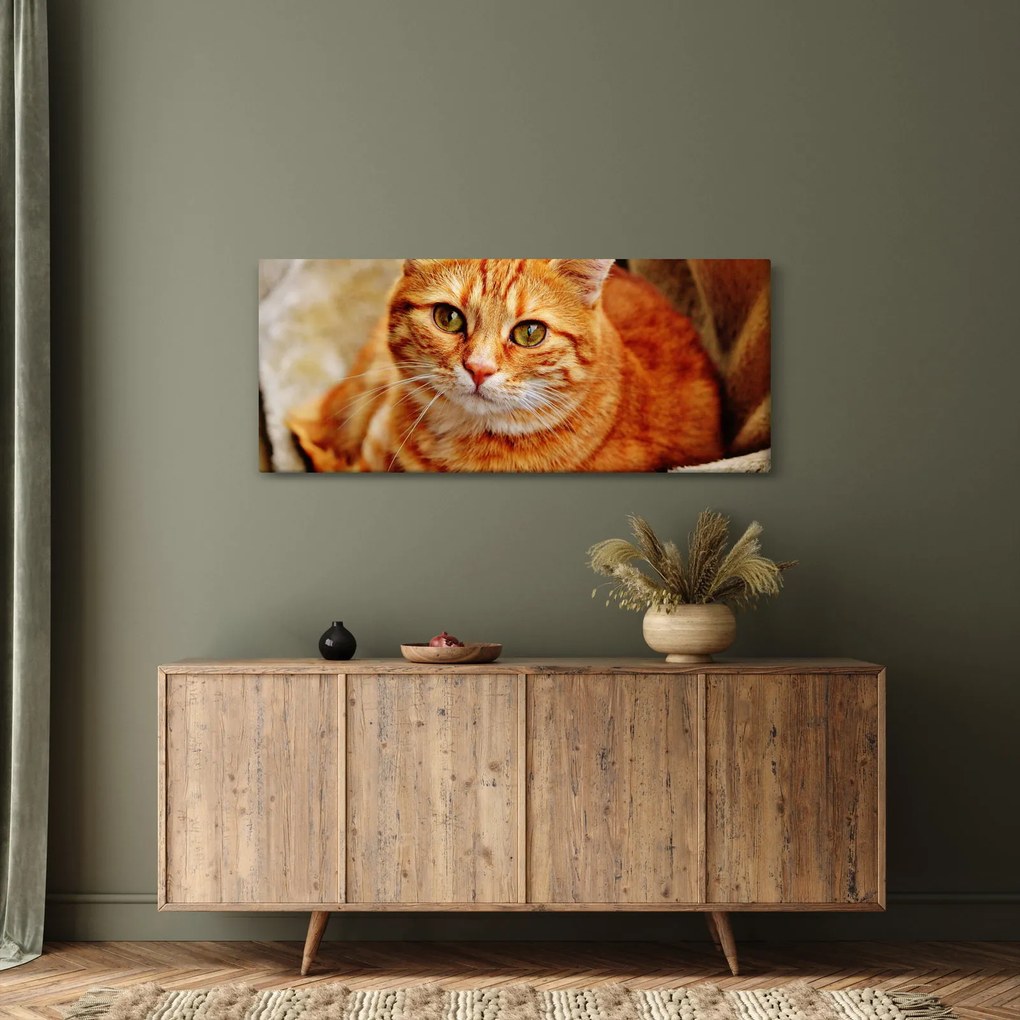 Egy fekvő macska képe (120x50 cm)