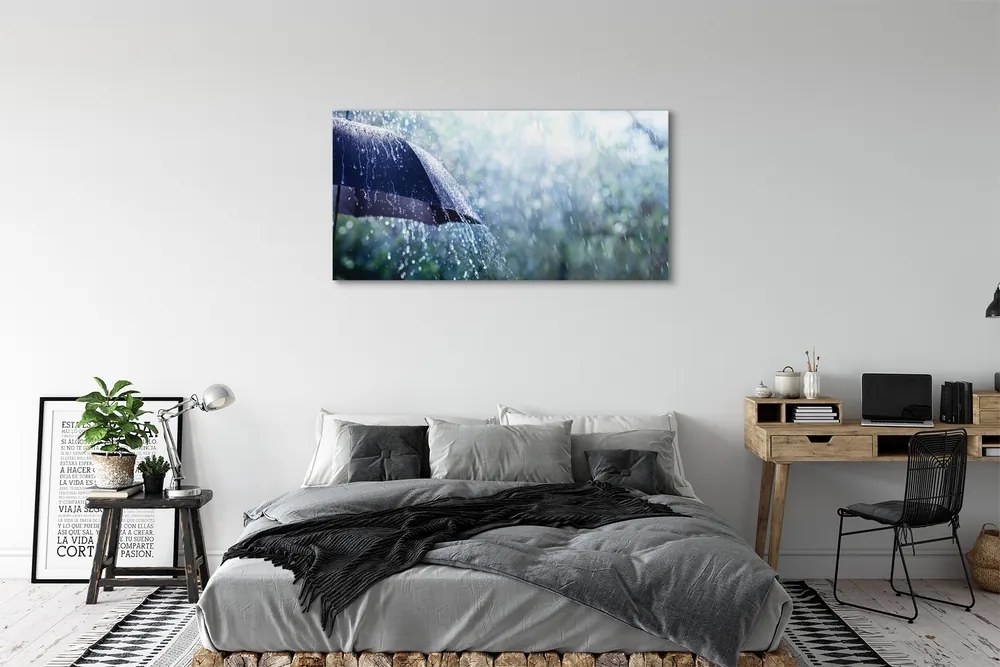 Akrilkép Esernyő eső esik 100x50 cm