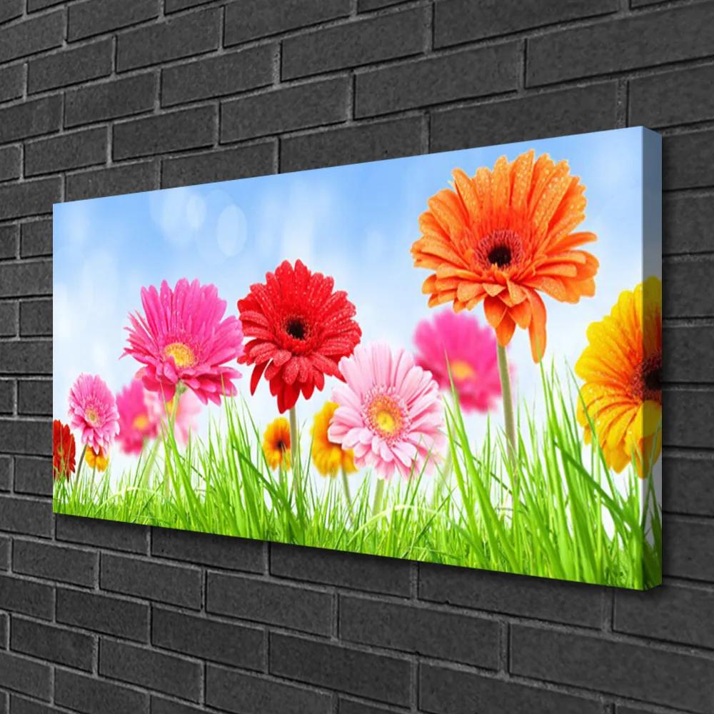 Vászonkép nyomtatás Virág Grass Plant 100x50 cm