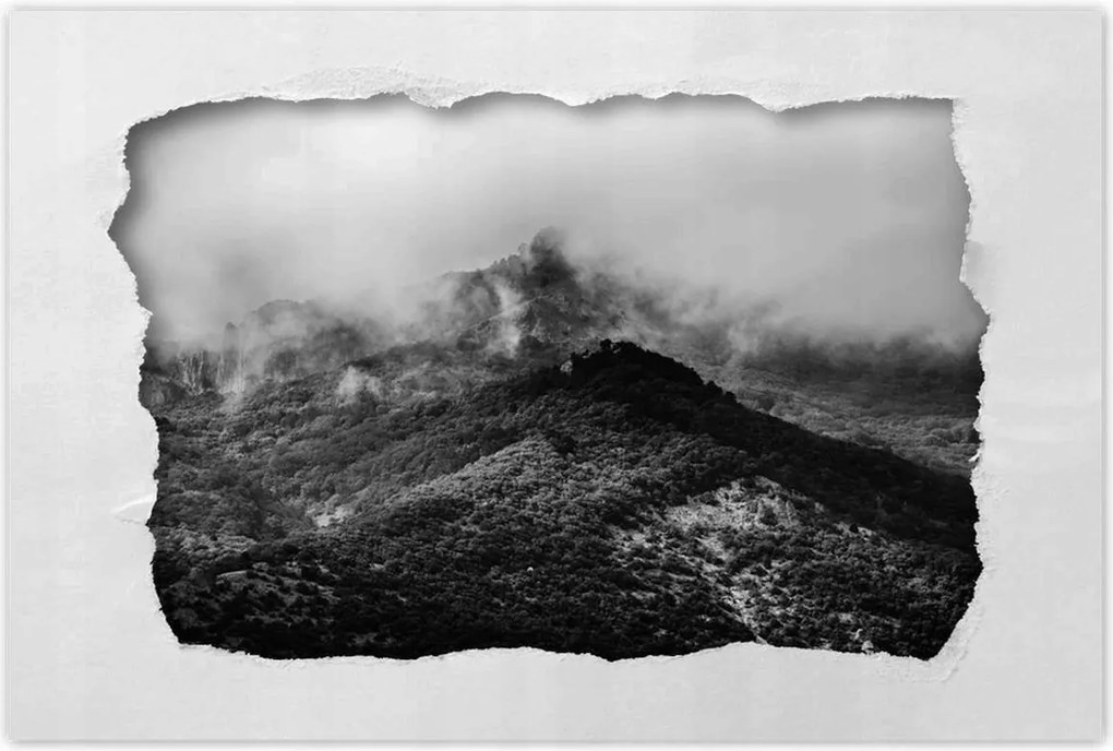 Plakátok 120x80 Koshka Rock Russia