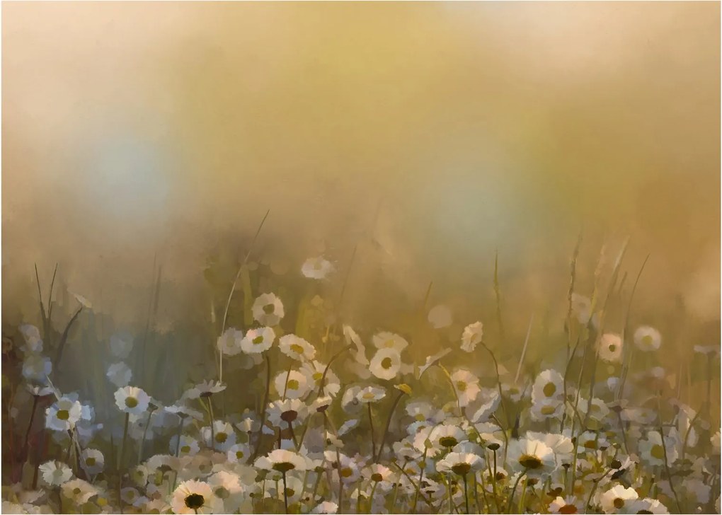 Kép - százszorszép olajfestmény (70x50 cm)