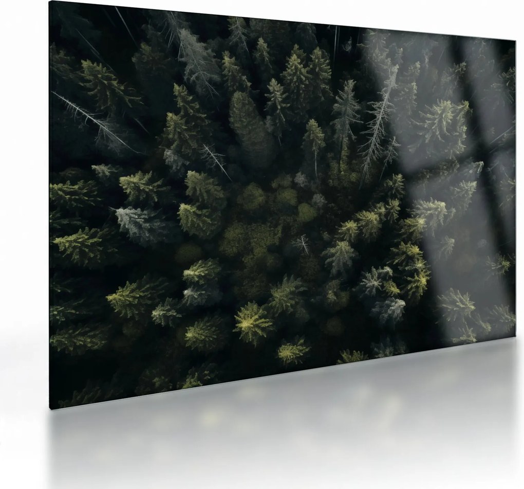 Üveg kép - Forest (70x50 cm)