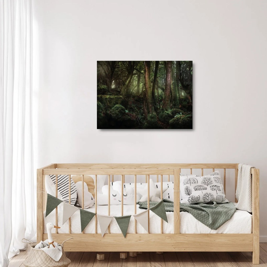Kép - Titokzatos erdő (üvegen) (70x50 cm)