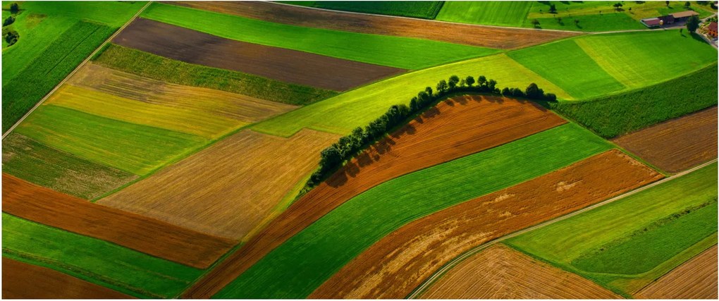 Kép - Mezők, rétek (120x50 cm)