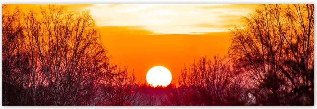 Poszterek 200x66 Kilátás Tájkép