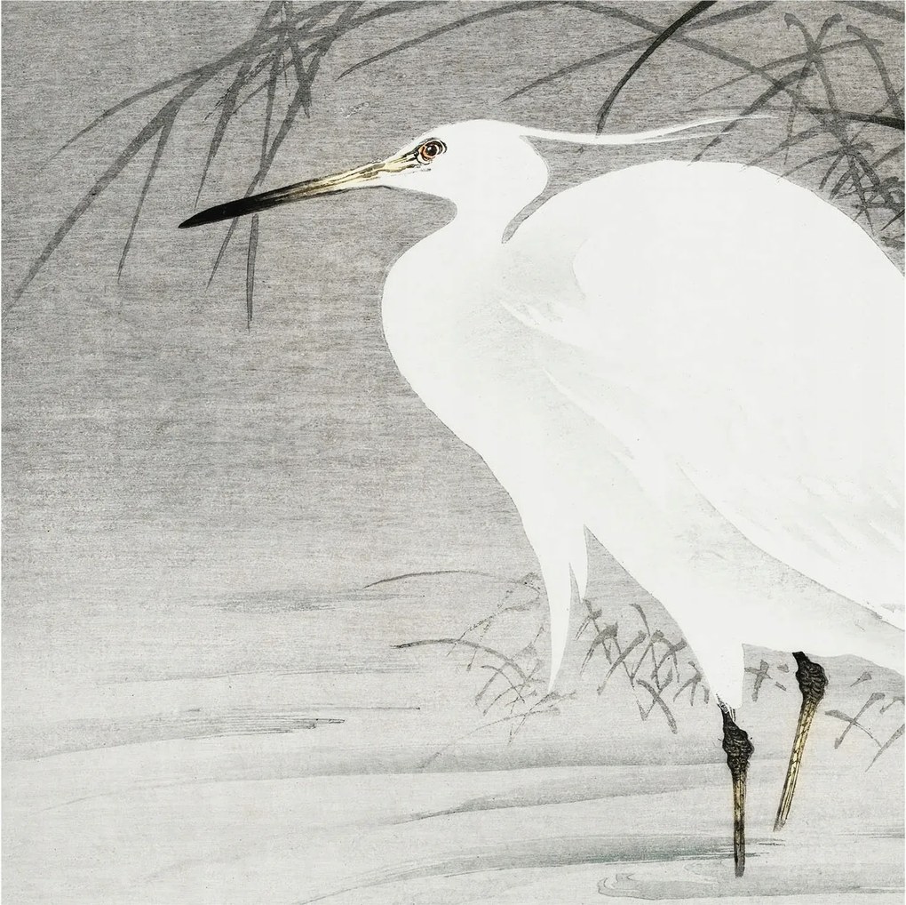 Fotótapéta Flizelin Dekoratív Hálószoba Vízi táj 250x250