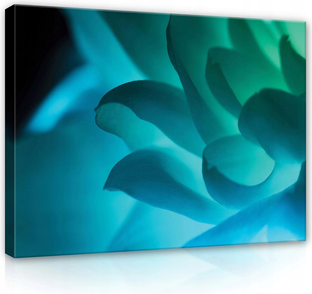Vászonkép 80x60 Kék lótusz virág makró szirmok kék zöld nyugalom