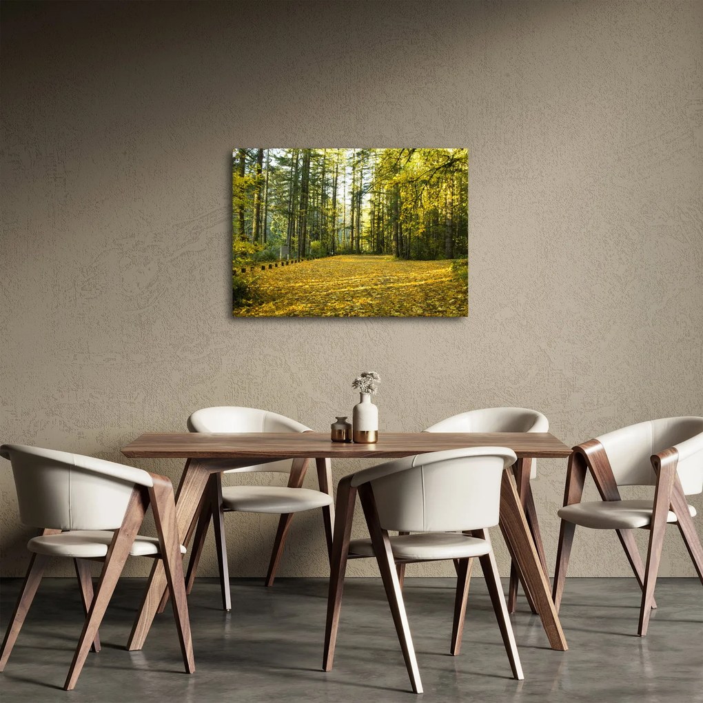 Kép - erdő ősszel (70x50 cm)